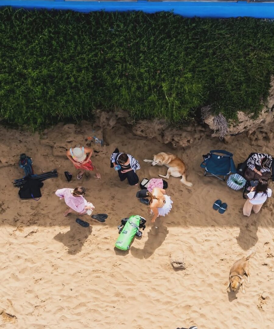 A group gathered in a circle on the sand